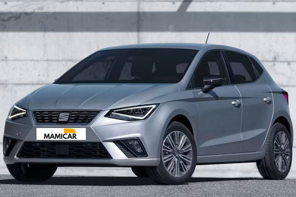 Seat Ibiza Style 2024